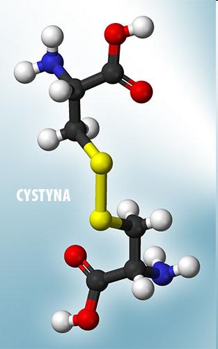 Tiole i sulfidy występowanie (2) utlenienie grup -SH cysteiny powstają mostki disulfidowe łączące fragmenty białek po hydrolizie tych