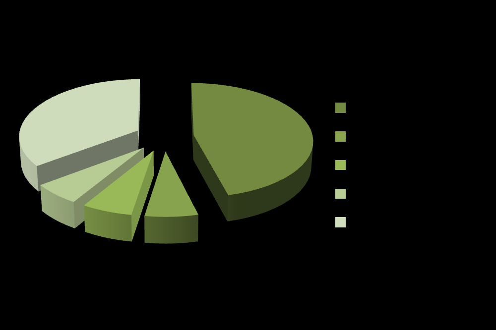 Akcjonariat Mennicy Polskiej* 35,71% 45,63 % 5,98 % 6,20 % 6,48 % *Dane według stanu na 15