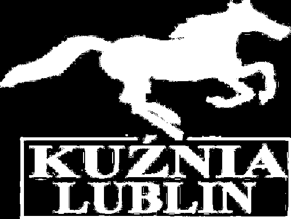 TOWARZYSTWO NOWA KUŹNIA ul.