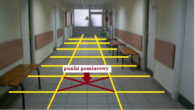 4 przedstawione jest przykładowe rozmieszczenie punktów pomiarowych na stanowisku pracy z wydzielonym polem zadania i polem bezpośredniego otoczenia. Natomiast na rys.