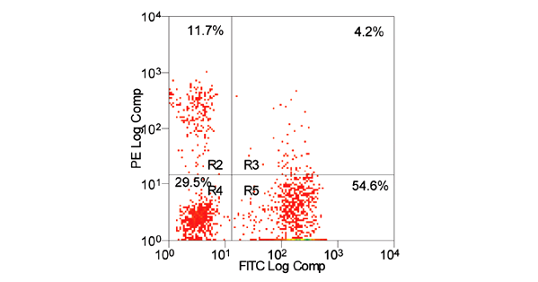 Analiza danych Histogram Cytogram A -