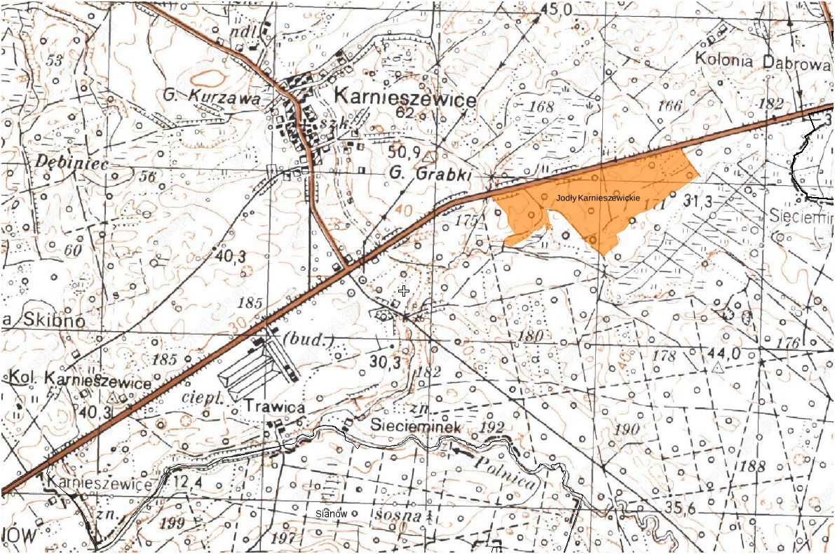 Obraz warunków hydrogeologicznych przedstawiono na załączonym przekroju hydrogeologicznym I I, w zał. nr 3. Zasilanie warstwy poziomu trzeciorzędowego odbywa się z odległego krążenia na wysoczyźnie.