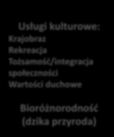 Ogólna wartośd ekonomiczna (TEV) kontekst: ostoje NATURA 2000 Wartośd użytkowa Wartośd pozaużytkowa Użytek bezpośredni Opcje Użytek pośredni Wartości dla ludzi (dziedzictwo i altruizm) Wartości same