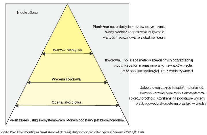 Wartościowanie usług ekosystemowych Źródło: Ekonomia ekosystemów i bioróżnorodności, Komisja Europejska, Urząd Oficjalnych Publikacji Wspólnot Europejskich, 2008, ISBN 978-92-79-09447-7 Prognoza