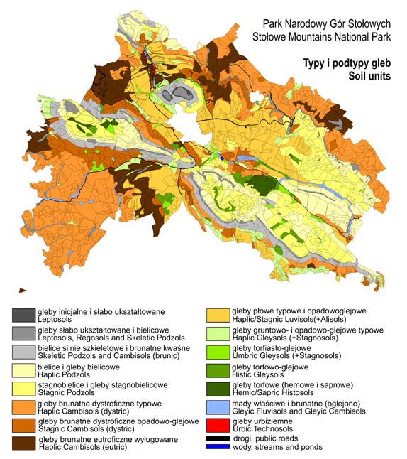 C. Kabała et al. 143 terenu powiązane są też czynniki mikroklimatyczne oraz hydrologiczne.