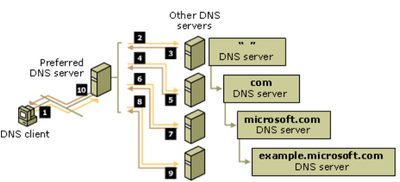 Struktura zapytań DNS Więcej: http://technet.