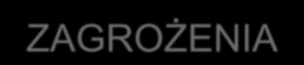 SZANSE I ZAGROŻENIA Możliwości integracji danych pochodzących z wielu źródeł (nie tylko publikowanych w ramach INSPIRE) W obszarze zainteresowań INSPIRE, OGC Coraz więcej