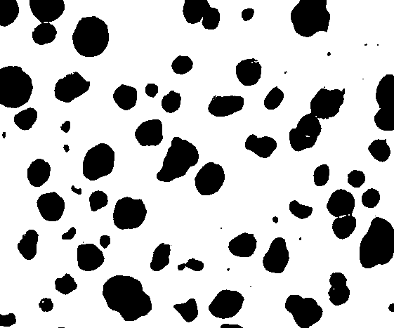 trawiony, pow. 100x Rys. 2.12.  trawiony, pow. 500x Rys. 2.13.