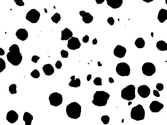 trawiony, pow. 100x Rys. 2.15.  trawiony, pow. 500x Rys. 2.16.