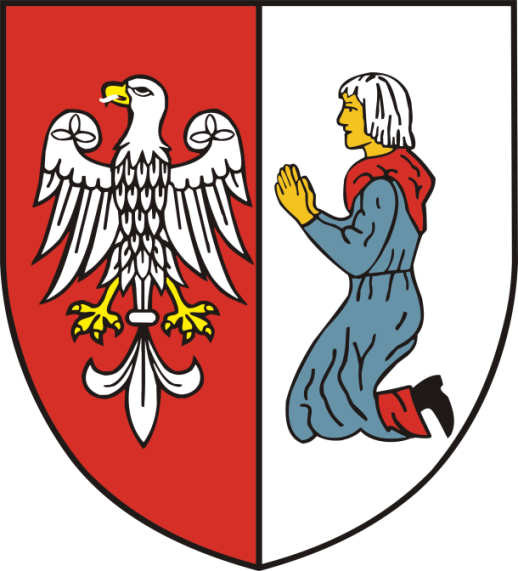 Wyniki badań społecznych mieszkańcy miasta i gminy Pobiedziska
