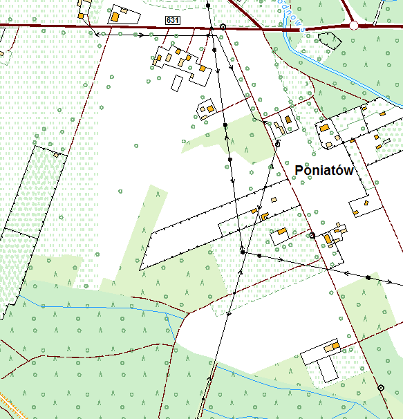 Strona7 II. SZCZEGÓŁOWY OPIS DRZEWA 1.