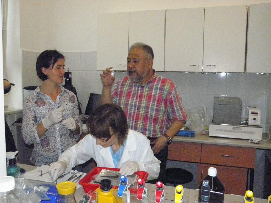 prof. Katsutoshi ARAI 1. Genetyka ryb kozowatych. Stan obecny i perspektywy 2. Biologia rozwoju ryb kozowatych.