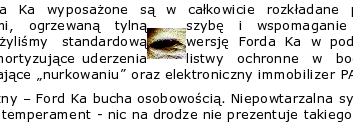 W sekcji Skala jest wyświetlany i możliwy do ustawienia rozmiar grafiki wyrażony w procentach względem oryginalnych wymiarów.