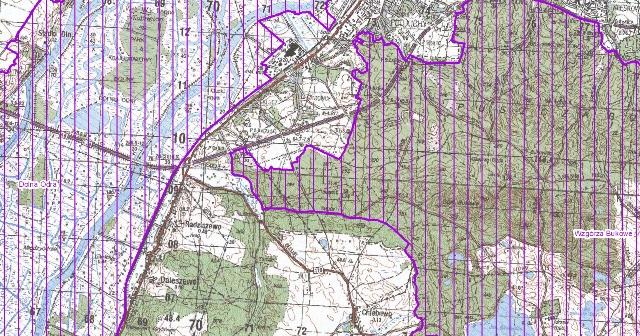 Mapa: Daleszewo na tle Obszaru Specjalnej Ochrony Dolina Dolnej Odry [PLB320003]