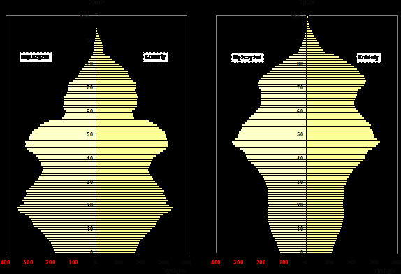 Urodzenia i zgony w latach 1989-2003 oraz prognoza do 2030 r. Malejąca dzietność i wzrastająca długość życia powodują starzenie się społeczeństwa.