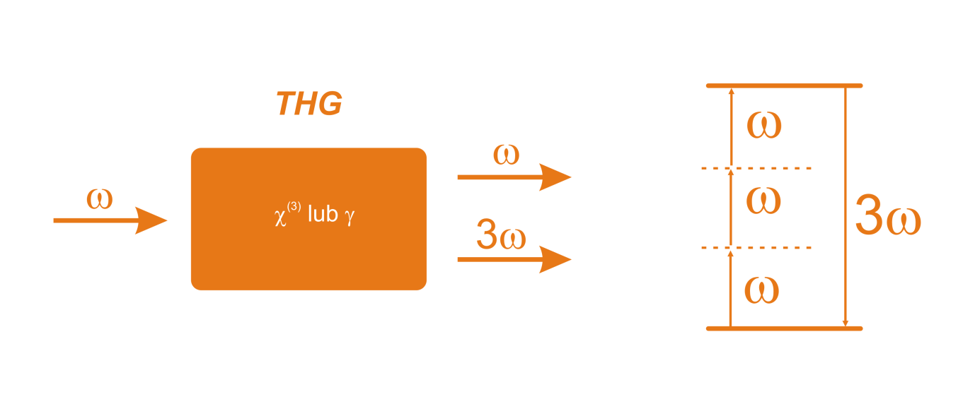 Third Harmonic Generation P = a E + b EE + g EEE +.