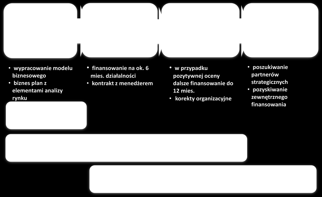 Strategia inwestycyjna w zakresie projektów własnych Własna idea Nie płacimy premii za pomysł kontrolujemy w pełni proces rozwoju biznesu!