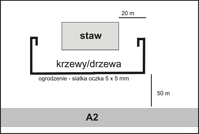 Rys. 1. Orientacyjny szkic przekroju stawu dla płazów (nie jest to schemat techniczny!).