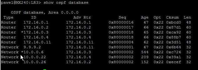 show ospf database