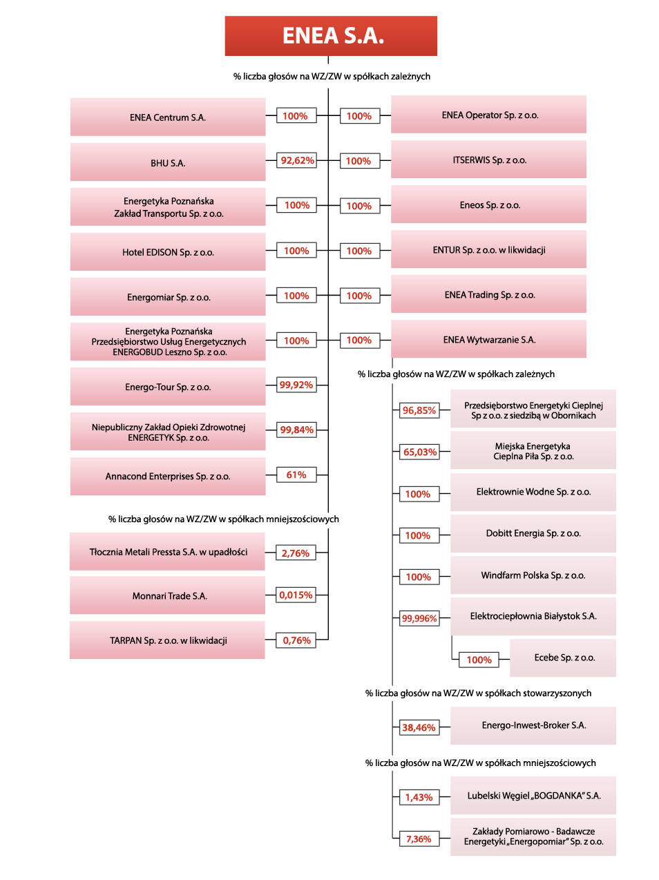 Schemat organizacyjny przedstawiający