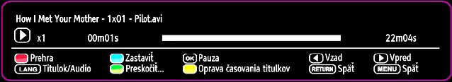 TEXT: Náhľad na obrázky v miniatúrach. INFO: Zmení možnosti fi ltra. Možnosti prezentácie Prehrať (ČERVENÉ tlačidlo): spustí prehrávanie videa. Stop (MODRÉ tlačidlo): zastaví prehrávanie videa.