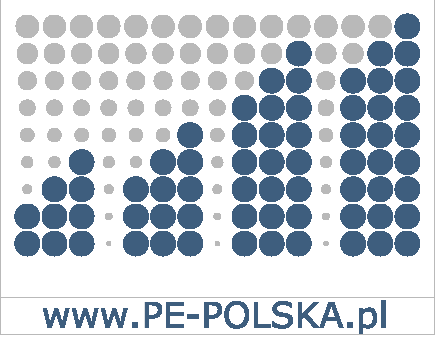 PE-POLSKA sp. z o.o. sp. k. Al. Grunwaldzka 19/23 80-236 Gdańsk www.pe-polska.pl tel.