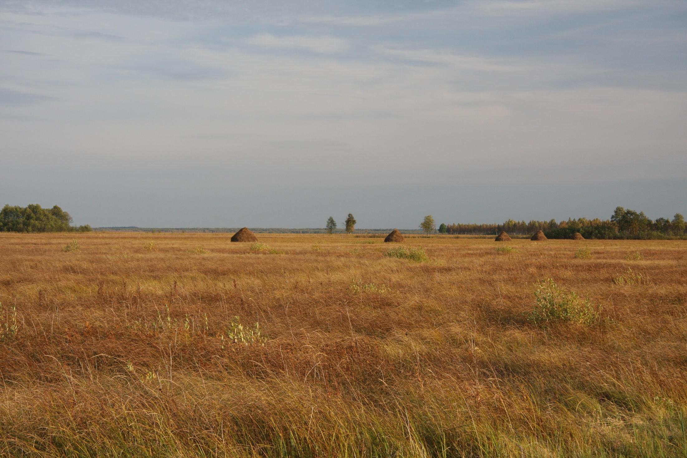 Dokumentacja Planu Zadań Ochronnych obszaru Natura 2000 Dolina Biebrzy PLH200008 TOM 1 (wersja 29.01.2016) Opracowano w ramach realizacji projektu POIS.05.03.
