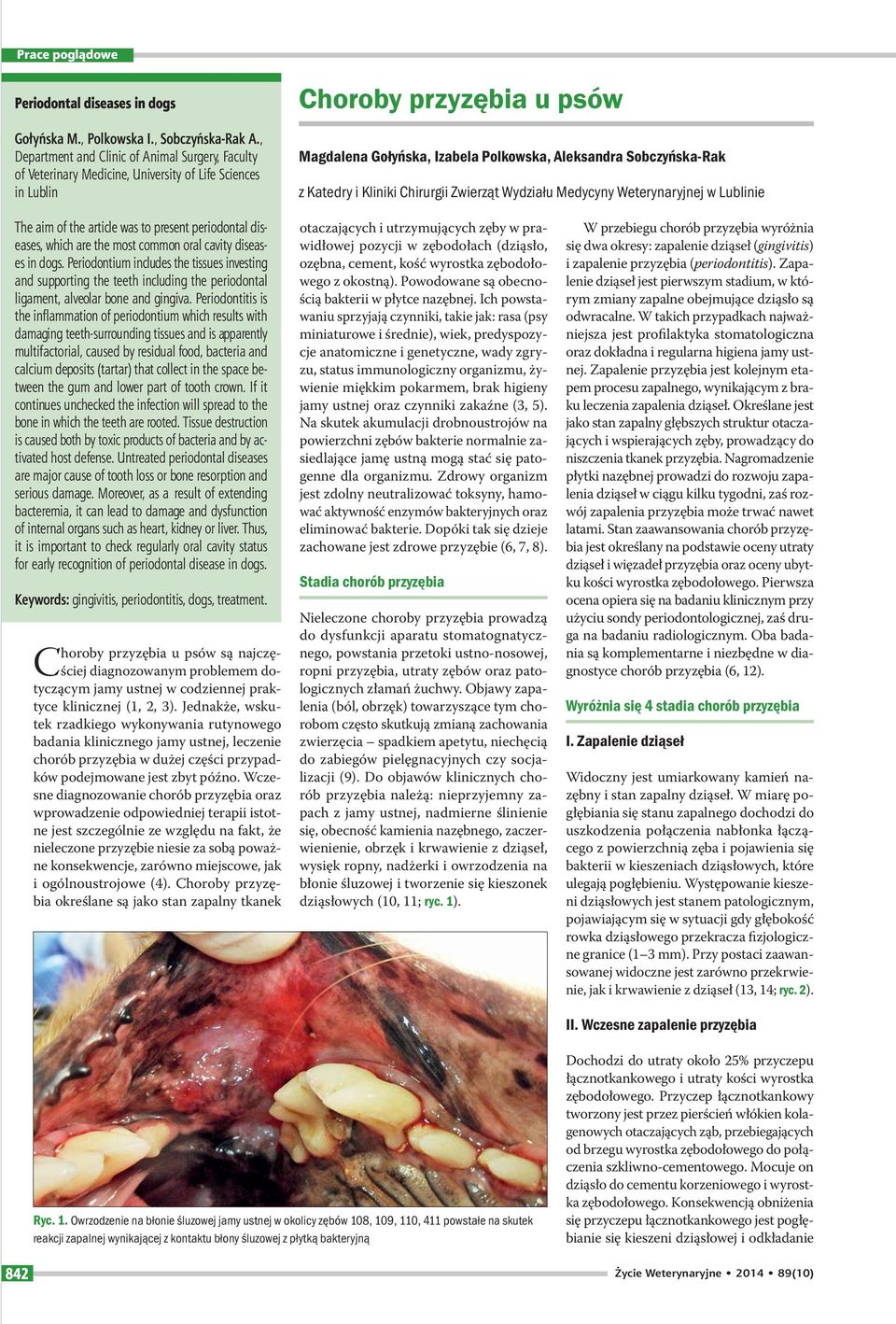 Sobczyńska-Rak z Katedry i Kliniki Chirurgii Zwierząt Wydziału Medycyny Weterynaryjnej w Lublinie The aim of the article was to present periodontal diseases, which are the most common oral cavity