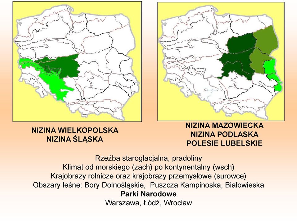 kontynentalny (wsch) Krajobrazy rolnicze oraz krajobrazy przemysłowe (surowce)