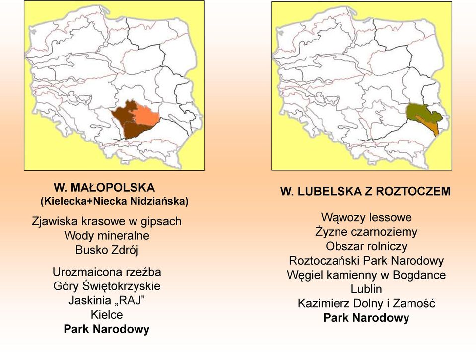 W. LUBELSKA Z ROZTOCZEM Wąwozy lessowe Żyzne czarnoziemy Obszar rolniczy Roztoczański