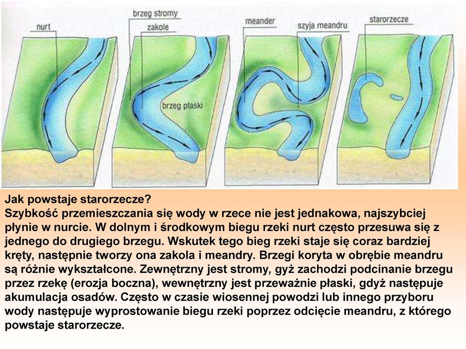 Wskutek tego bieg rzeki staje się coraz bardziej kręty, następnie tworzy ona zakola i meandry. Brzegi koryta w obrębie meandru są różnie wykształcone.