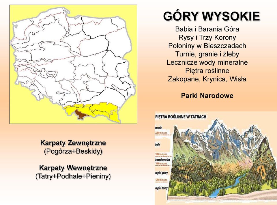 Piętra roślinne Zakopane, Krynica, Wisła Parki Narodowe Karpaty