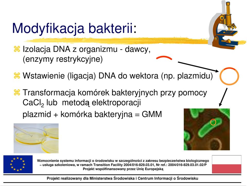 (np. plazmidu) Transformacja komórek bakteryjnych przy