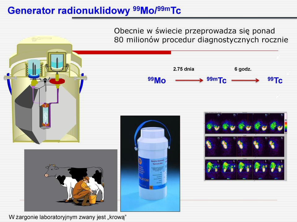 procedur diagnostycznych rocznie 2.75 dnia 6 godz.