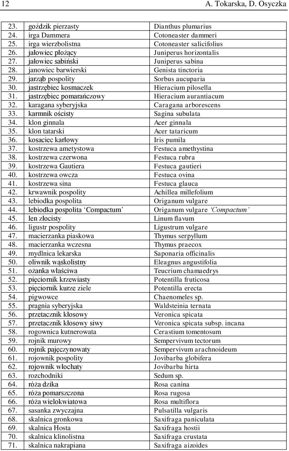 jastrzębiec pomarańczowy Hieracium aurantiacum 32. karagana syberyjska Caragana arborescens 33. karmnik ościsty Sagina subulata 34. klon ginnala Acer ginnala 35. klon tatarski Acer tataricum 36.