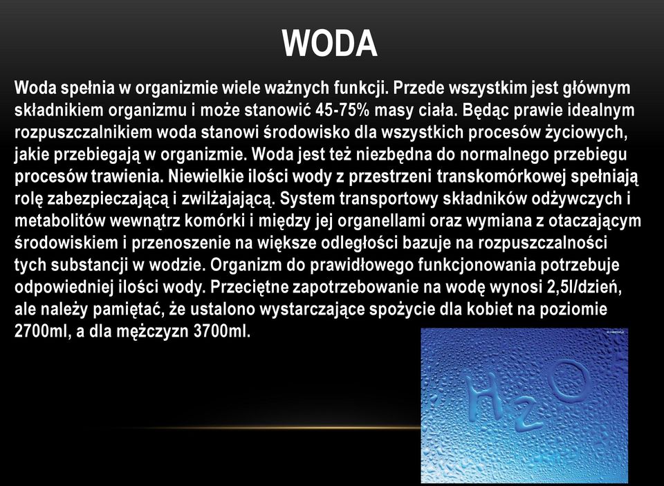 Niewielkie ilości wody z przestrzeni transkomórkowej spełniają rolę zabezpieczającą i zwilżajającą.