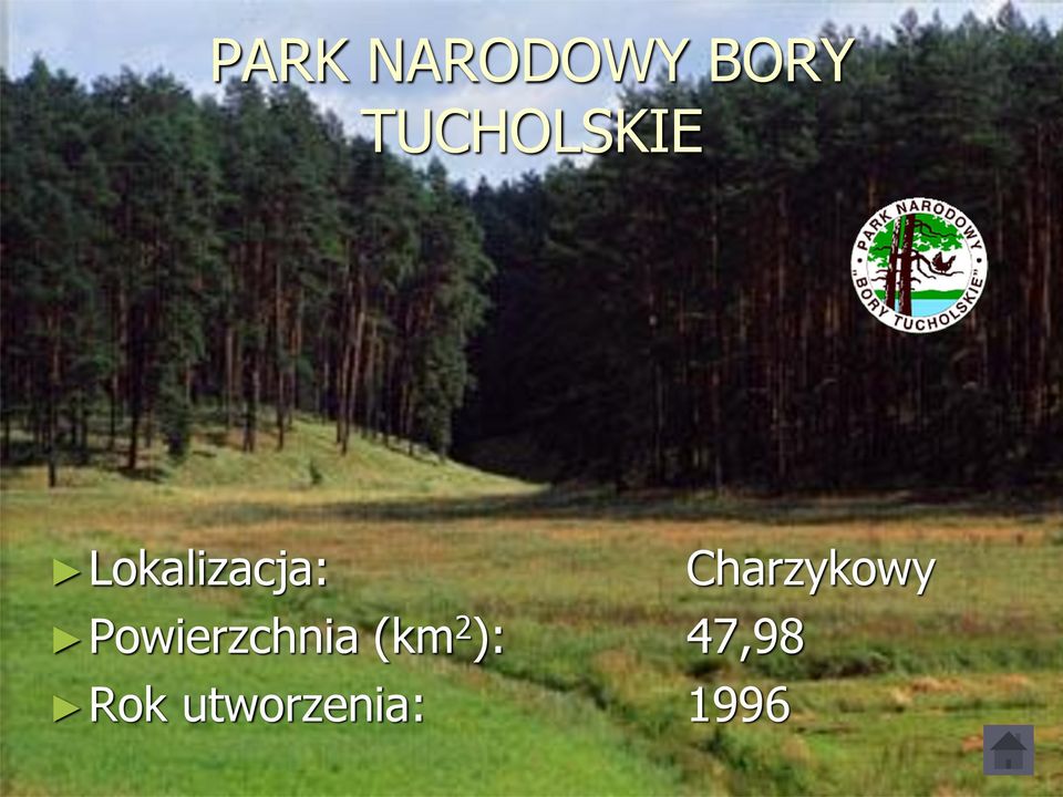 Charzykowy Powierzchnia