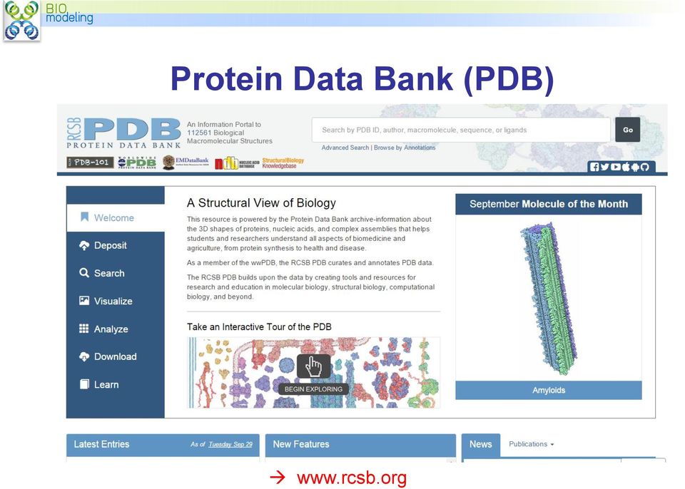 (PDB) www.