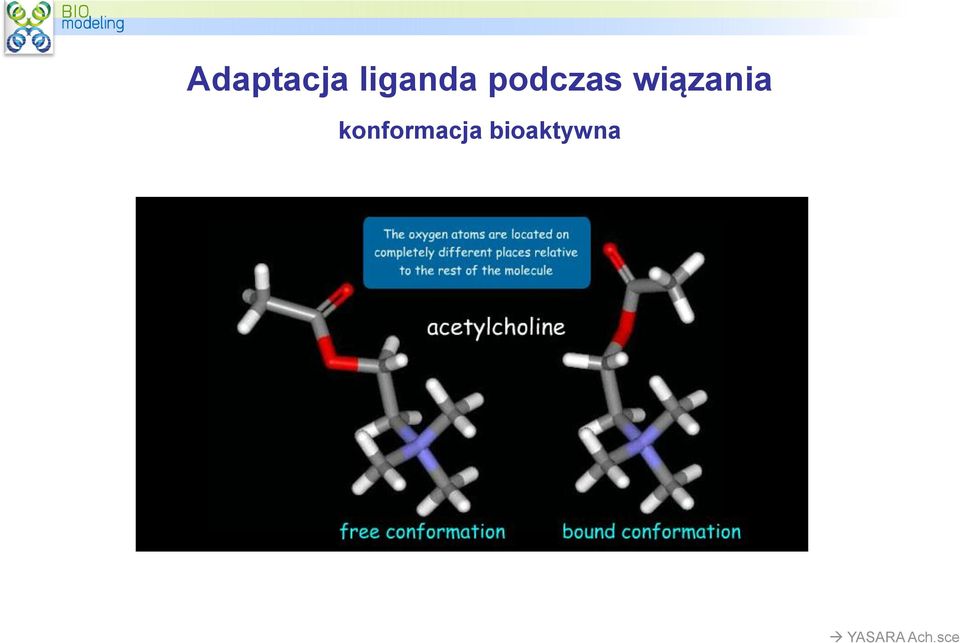 konformacja