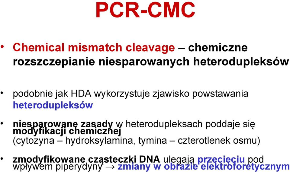 heterodupleksach poddaje się modyfikacji chemicznej (cytozyna hydroksylamina, tymina czterotlenek