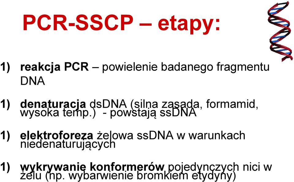 ) - powstają ssdna 1) elektroforeza żelowa ssdna w warunkach