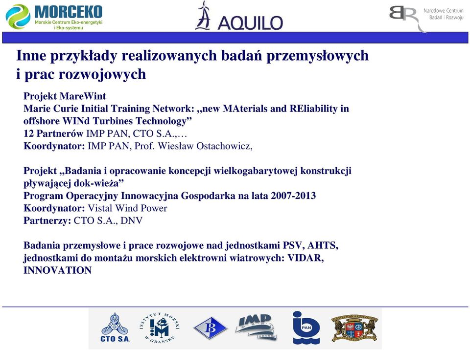 Wiesław Ostachowicz, Projekt Badania i opracowanie koncepcji wielkogabarytowej konstrukcji pływającej dok-wieża Program Operacyjny Innowacyjna Gospodarka