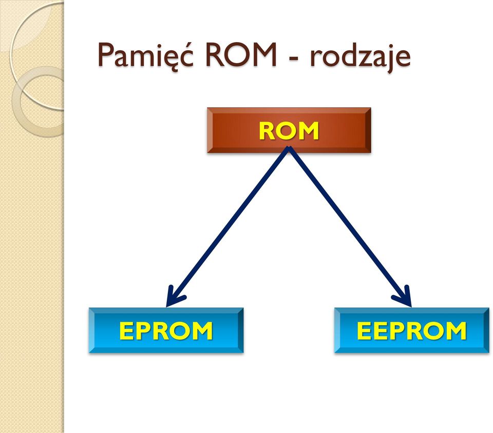 rodzaje