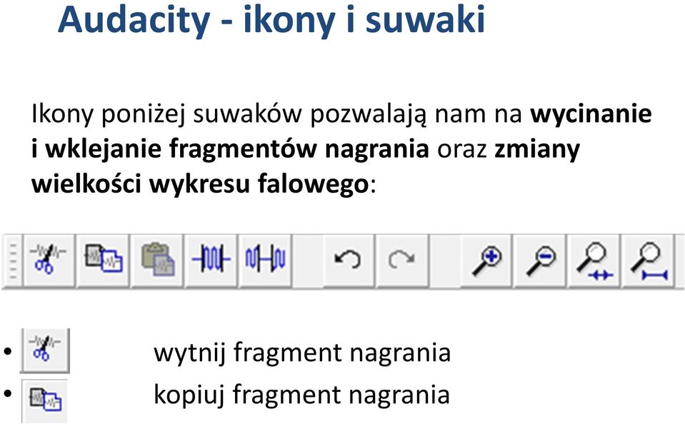 fragmentów nagrania oraz zmiany wielkości