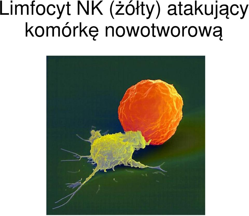 atakujący