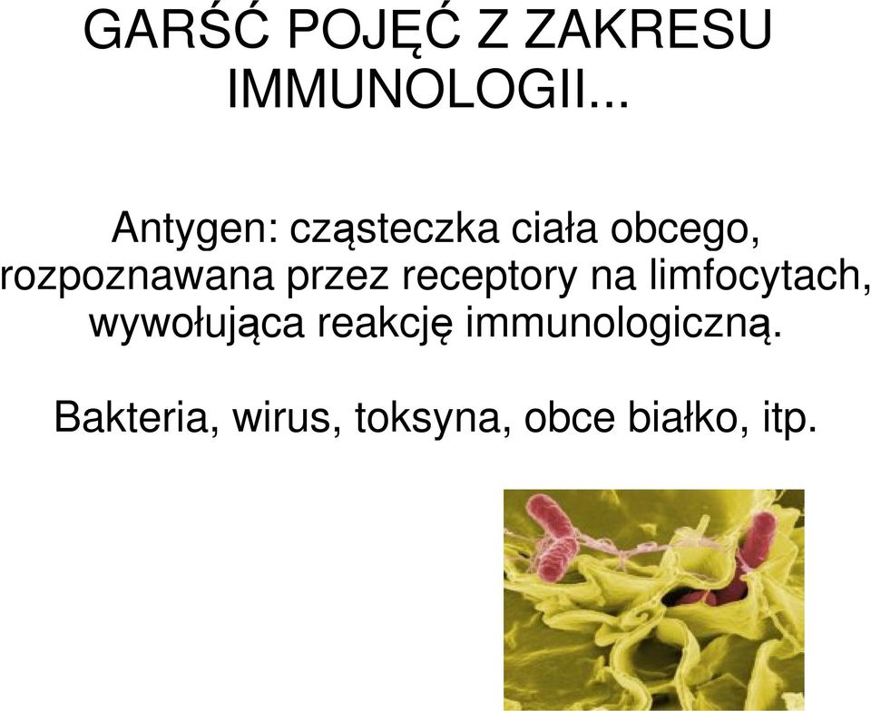 rozpoznawana przez receptory na limfocytach,