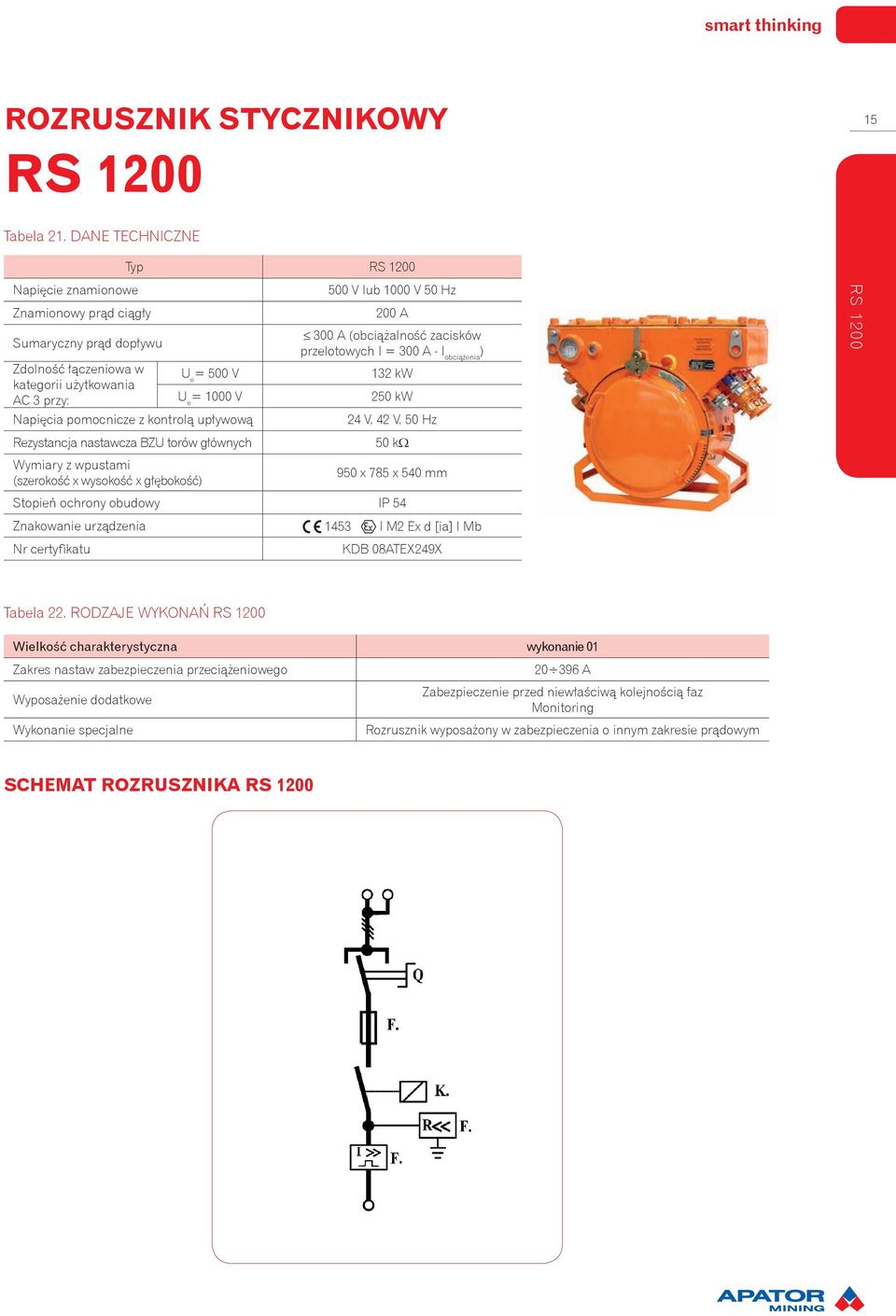 upływową 500 V lub 1000 V 50 Hz 200 A 300 A (obciążalność zacisków przelotowych I = 300 A - I obciążenia ) 132 kw 250 kw 24 V, 42 V, 50 Hz RS 1200 Rezystancja nastawcza BZU torów głównych 50 kω