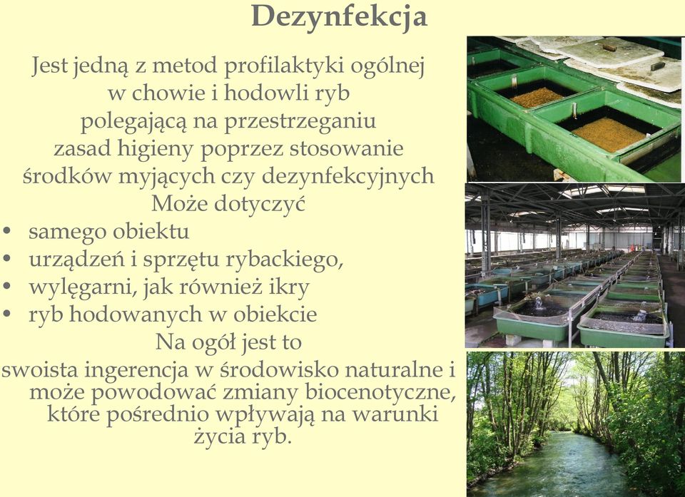 i sprzętu rybackiego, wylęgarni, jak również ikry ryb hodowanych w obiekcie Na ogół jest to swoista