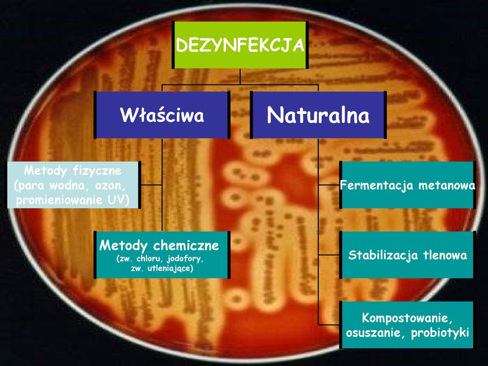 Metody chemiczne (zw. chloru, jodofory, zw.
