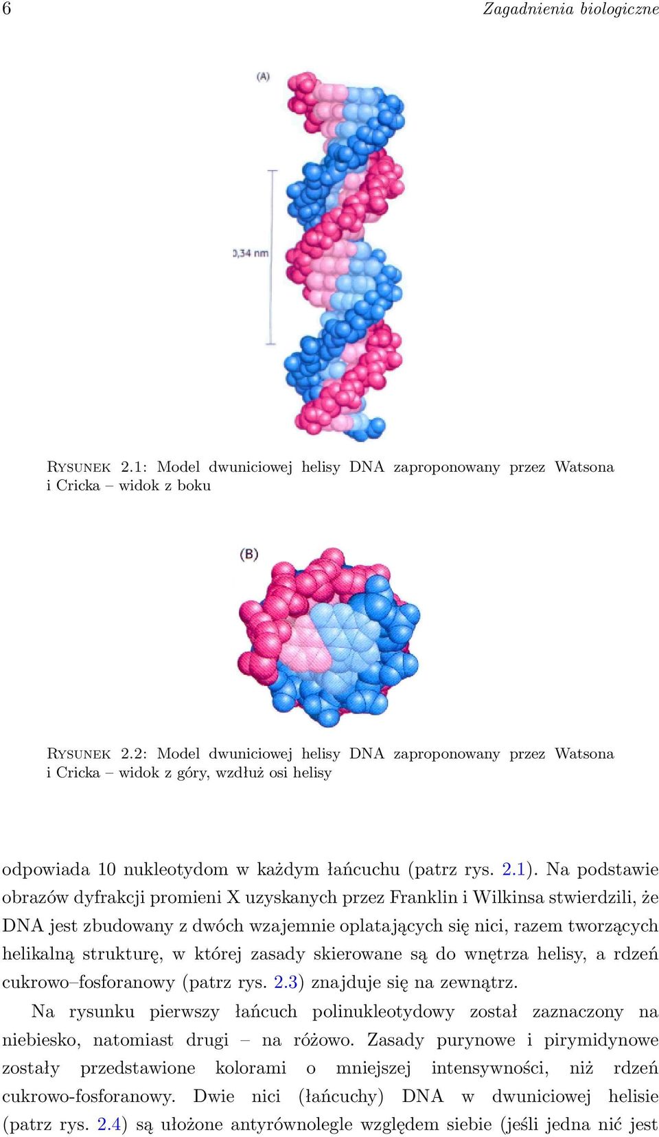 Webmobis platforma informatyczna do analizy białek - PDF Darmowe pobieranie